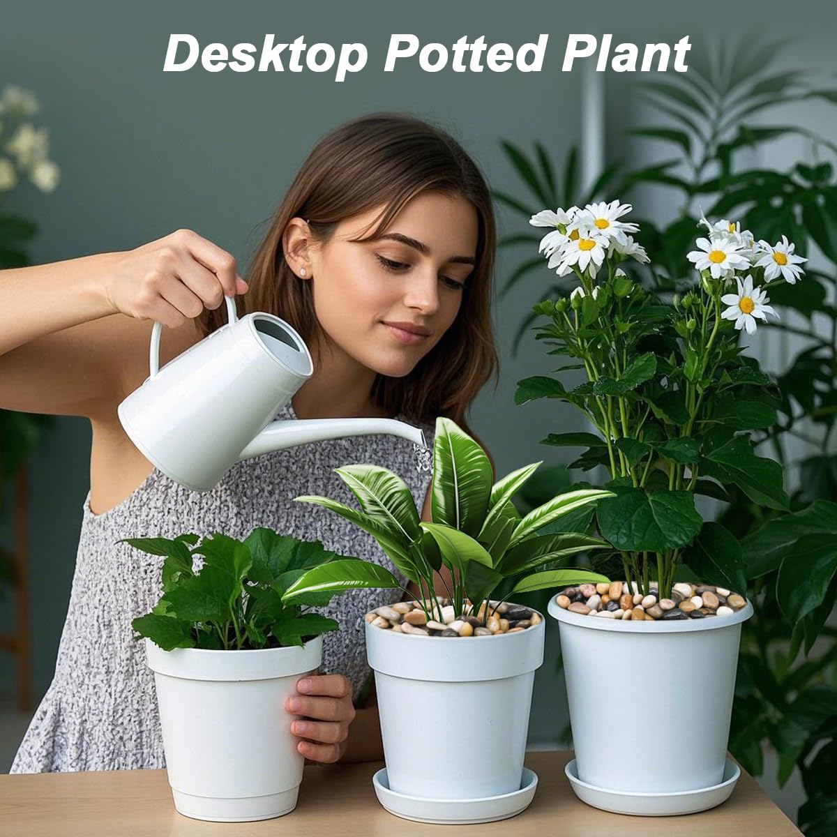 Amazon.co.jp: Virekm 川の岩、装飾的な観賞用の小石、庭の造園用石